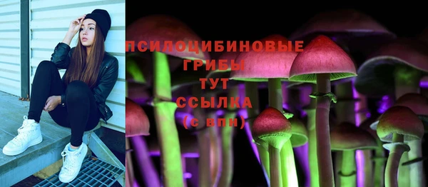 соль ск Богородицк